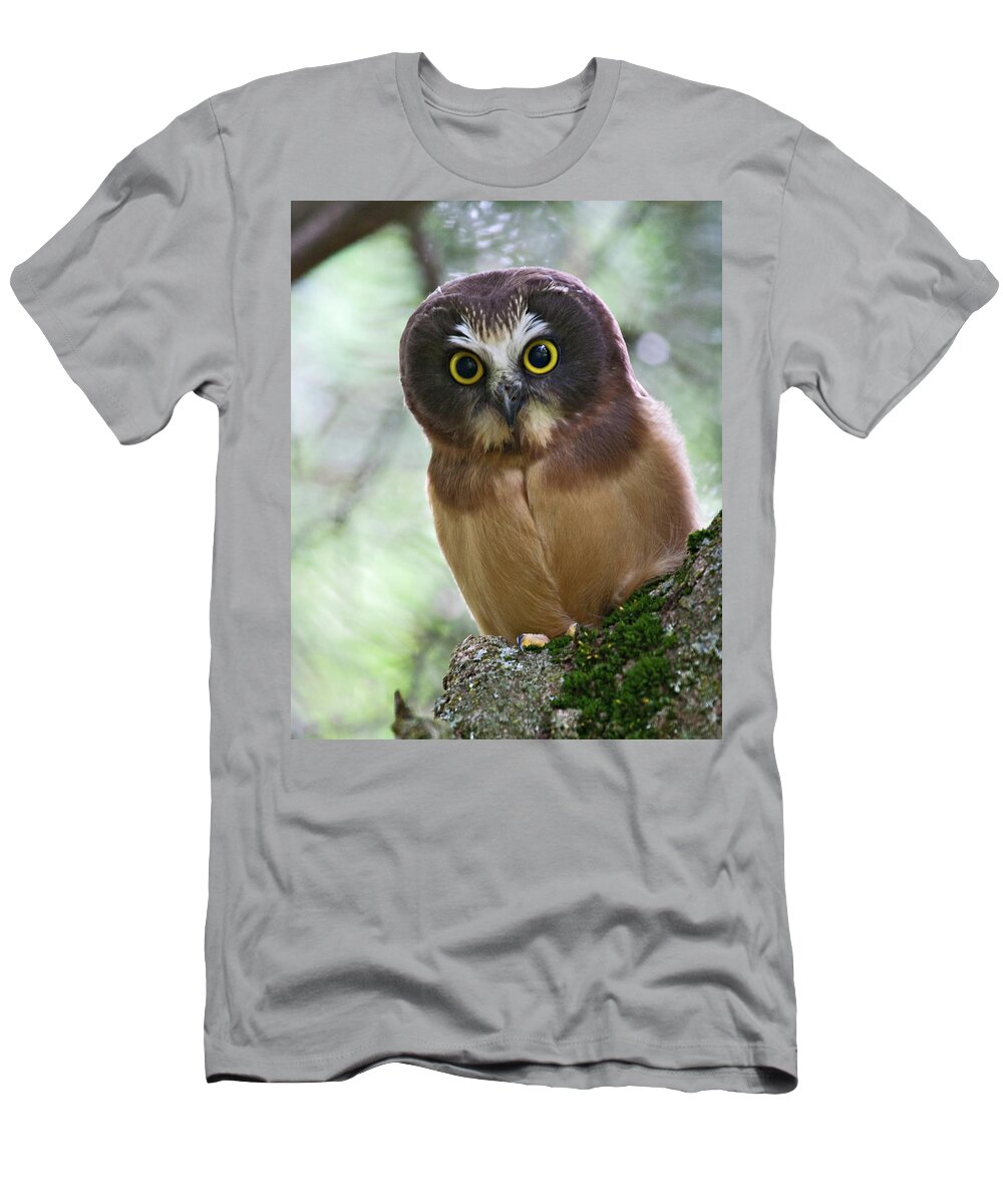 Birds T-Shirt featuring the photograph Little Owl by Wesley Aston