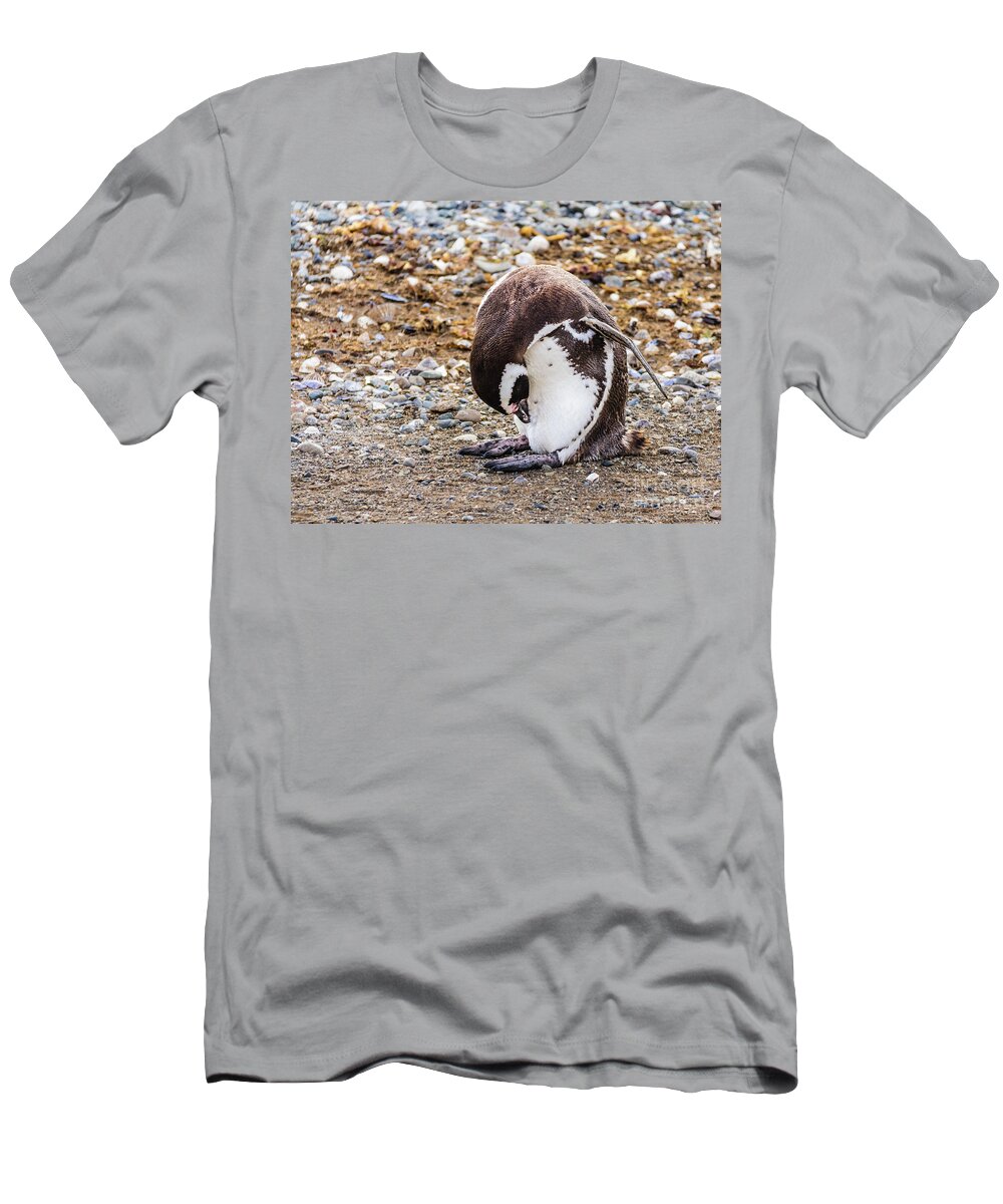 Penguin T-Shirt featuring the photograph Magellan penguin on the Isla Magdalena, Chile by Lyl Dil Creations