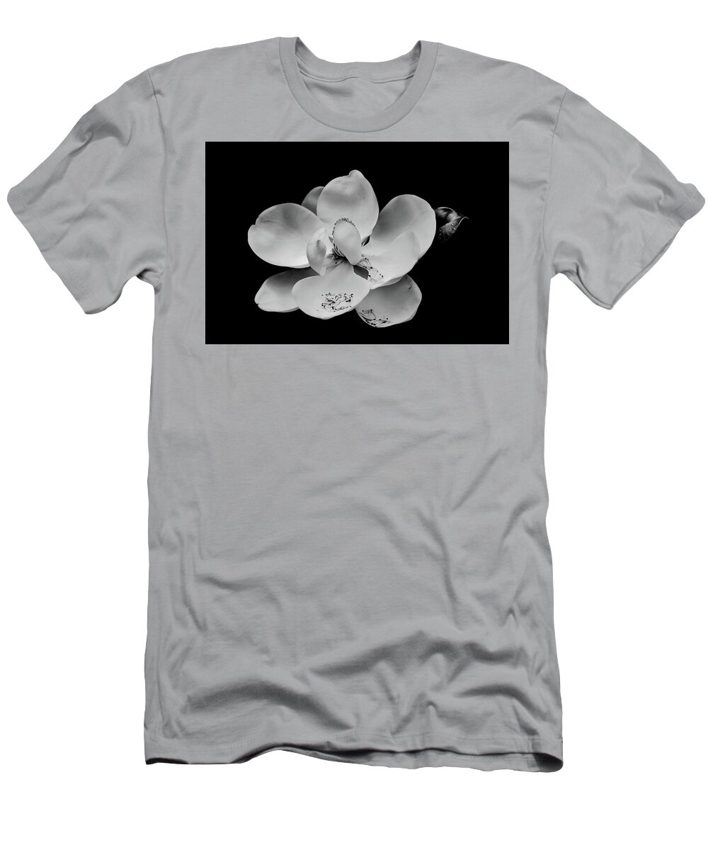 Black T-Shirt featuring the photograph Magnolia Blossom on Black by Darryl Brooks