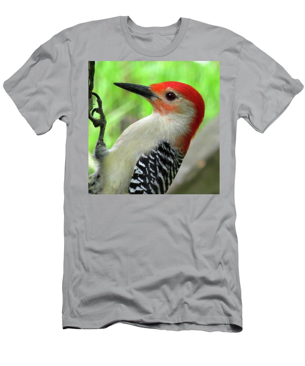 Red-bellied Woodpecker T-Shirt featuring the photograph Male Red-bellied Woodpecker by Linda Stern