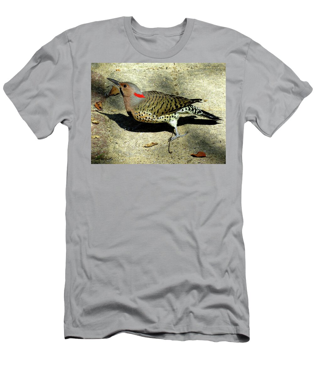 Birds T-Shirt featuring the photograph Male Yellow-shafted Northern Flicker by Linda Stern