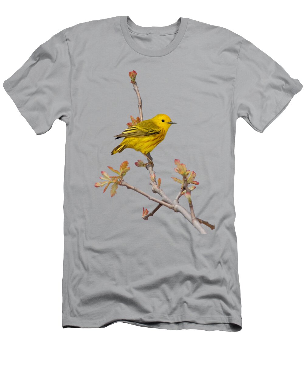 Yellow T-Shirt featuring the photograph Male Yellow Warbler in Spring by Marlin and Laura Hum