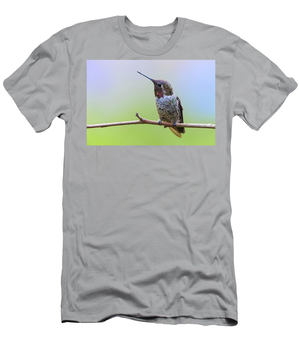 Animal T-Shirt featuring the photograph Midsummer Night's Dream II - Male Anna's Hummingbird by Briand Sanderson