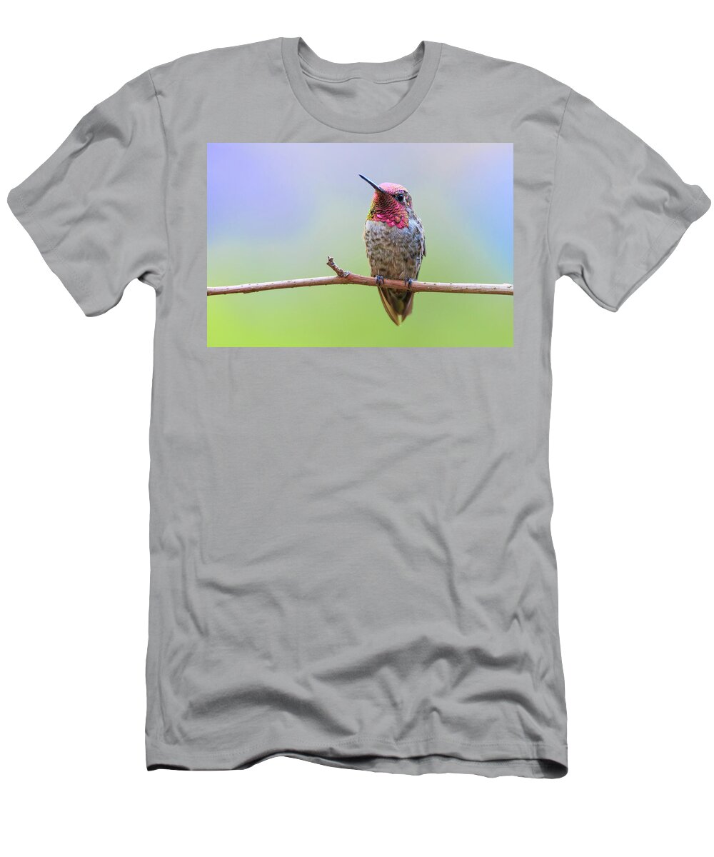 Animal T-Shirt featuring the photograph Midsummer Night's Dream III - Male Anna's Hummingbird by Briand Sanderson