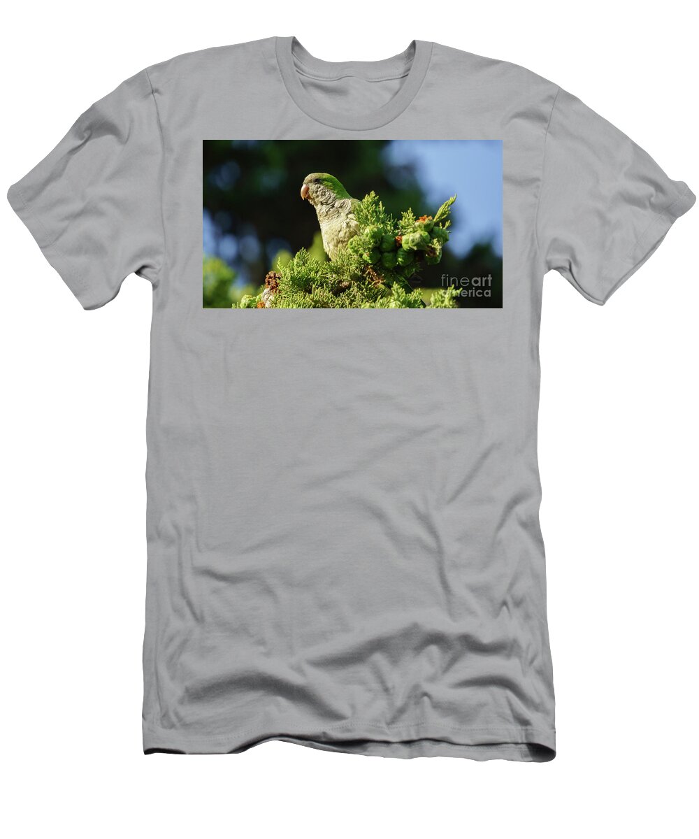 Ara T-Shirt featuring the photograph Monk Parakeet Perched on a Tree by Pablo Avanzini