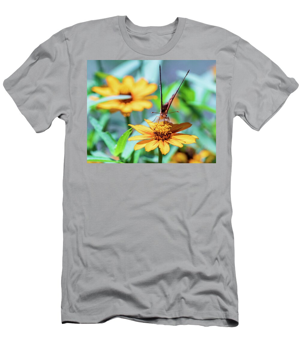 Arboretum T-Shirt featuring the photograph Nature Photography Butterfly by Amelia Pearn