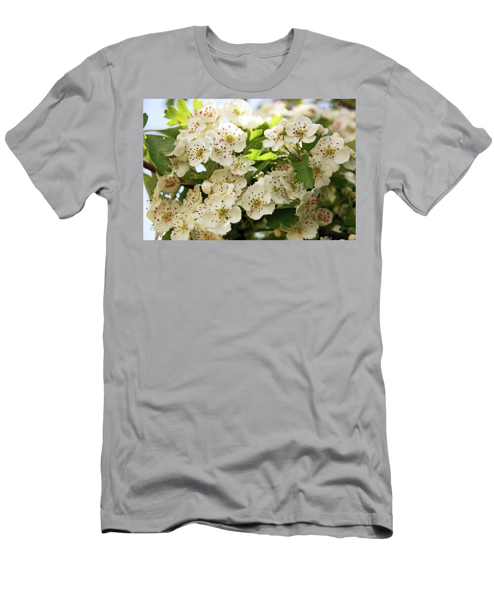 Neston T-Shirt featuring the photograph NESTON. Hawthorn Blossom. by Lachlan Main