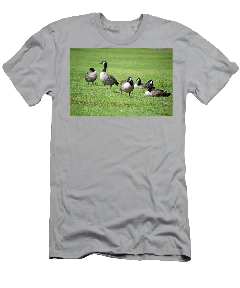Nature T-Shirt featuring the photograph On the Lookout by Charles HALL