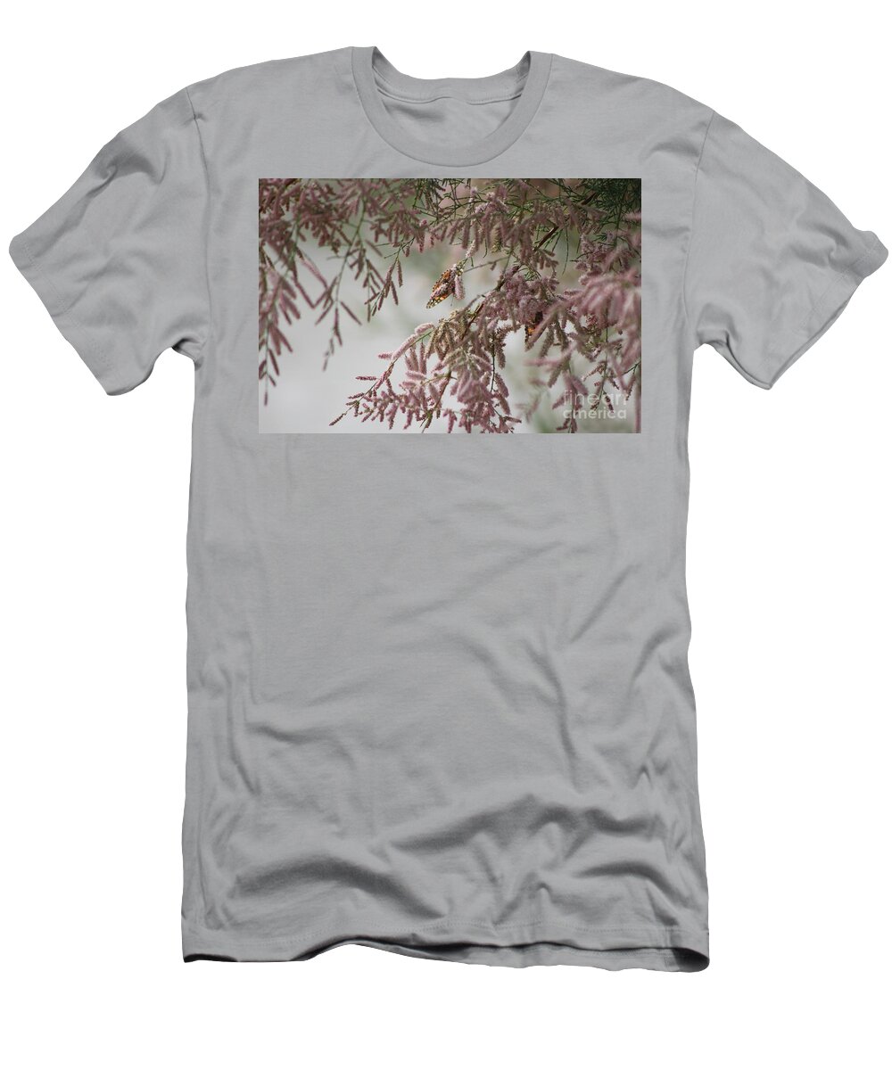 Peony Pink T-Shirt featuring the photograph Painted Lady Butterflies on Pink Chinese Saltcedar by Colleen Cornelius