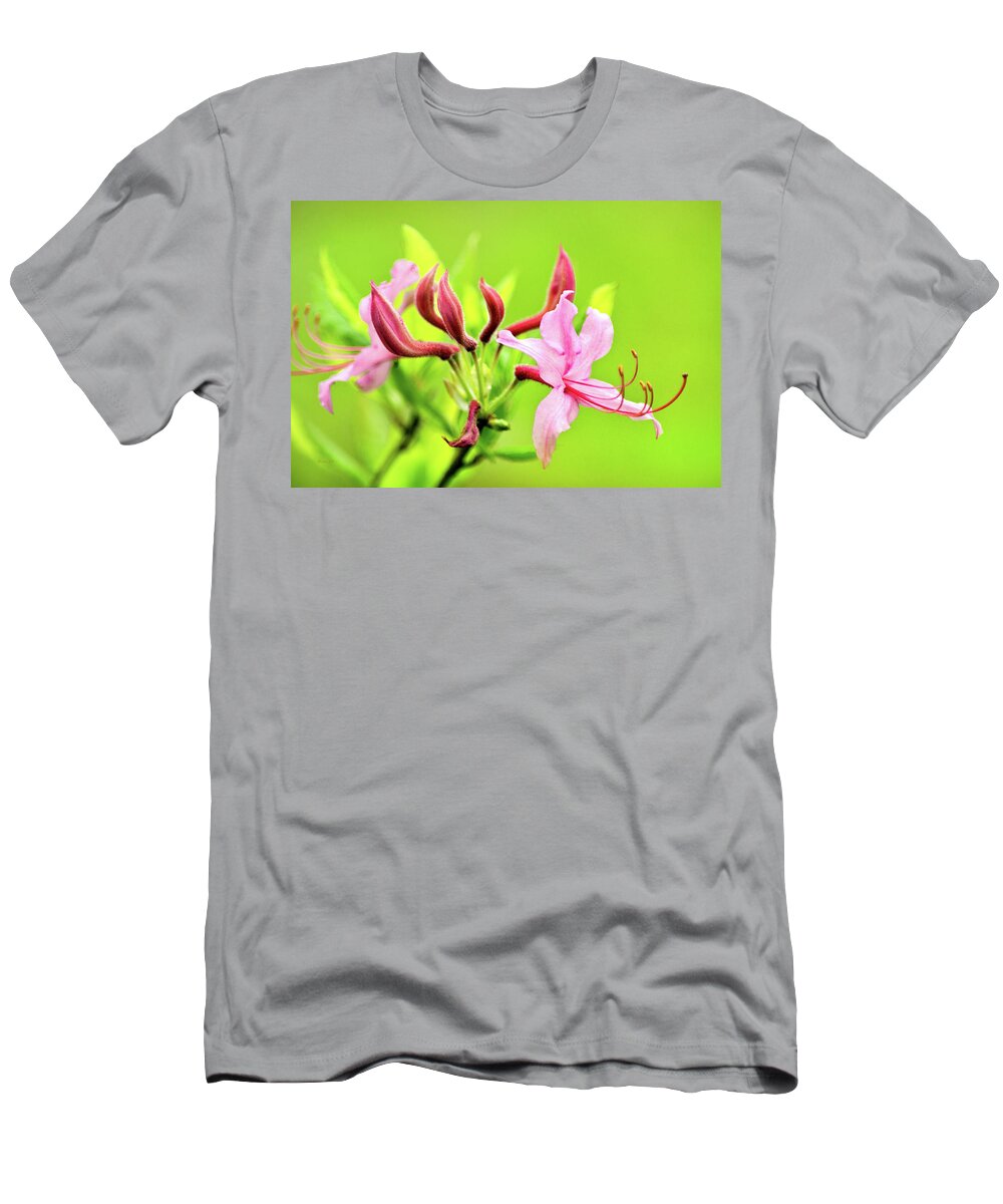 Honeysuckle T-Shirt featuring the photograph Pink Honeysuckle Flowers by Christina Rollo