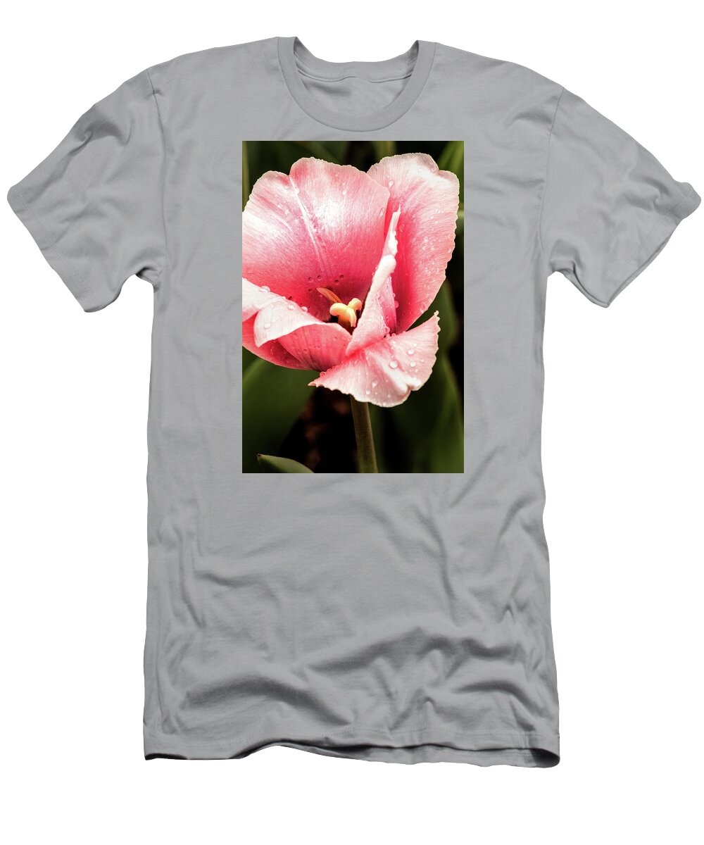 Flower T-Shirt featuring the photograph Pink Tulip Macro by Don Johnson