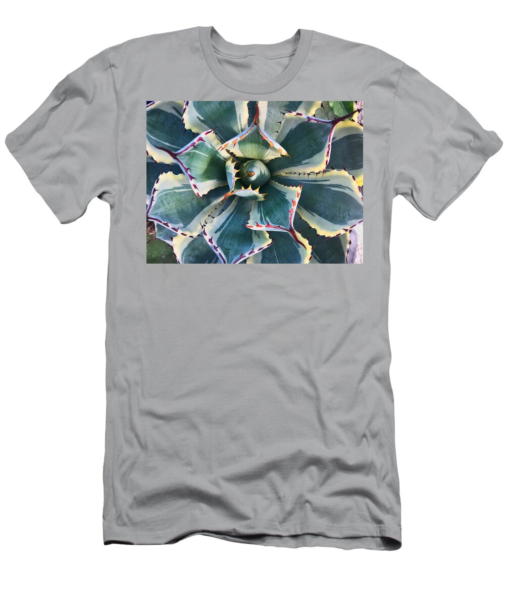 Plant T-Shirt featuring the photograph Pinwheel Succulent by Tom Gresham