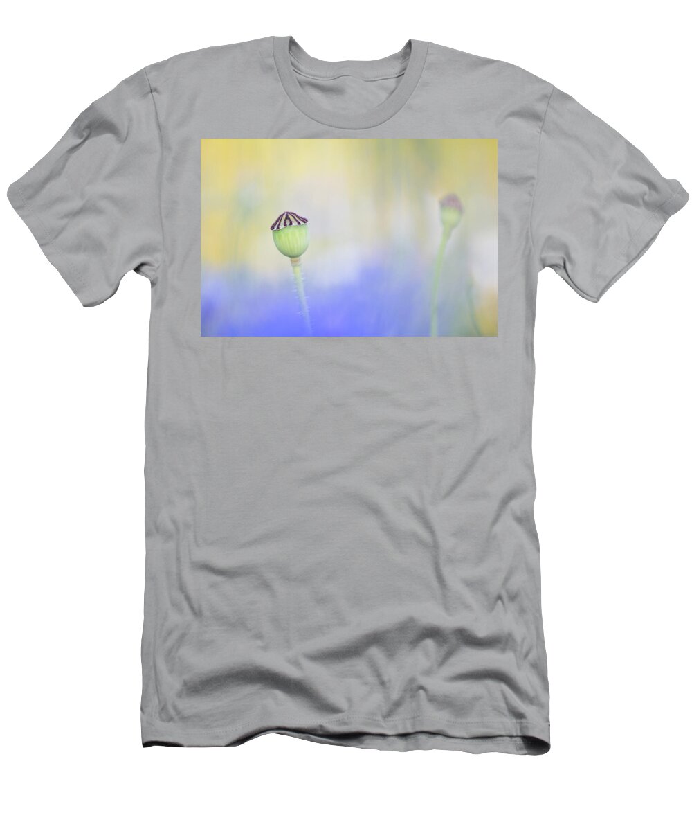 Flower T-Shirt featuring the photograph Poppy seed head in a sea of blue by Anita Nicholson