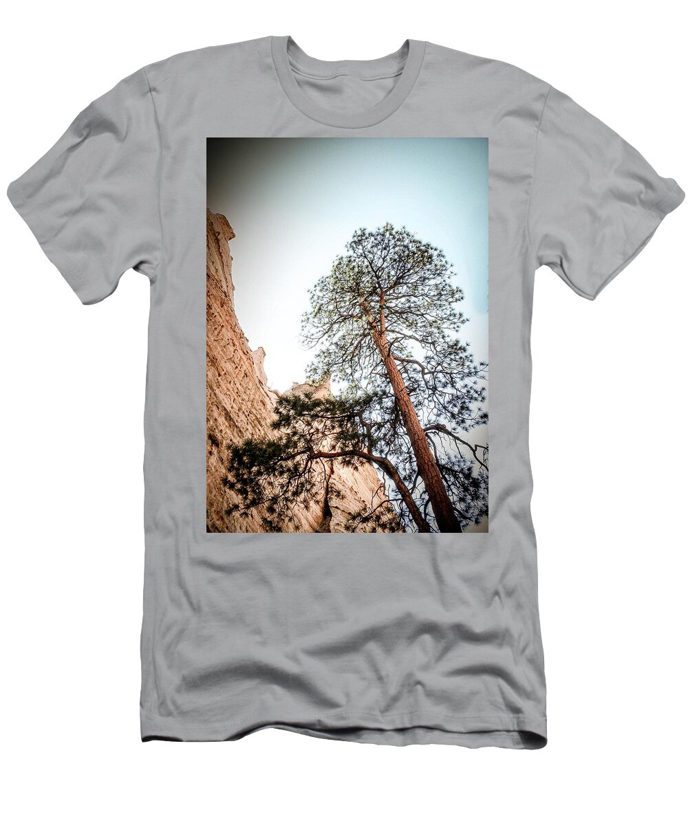 Ponderosa Pine T-Shirt featuring the photograph Reaching for the Sky by Mary Pille