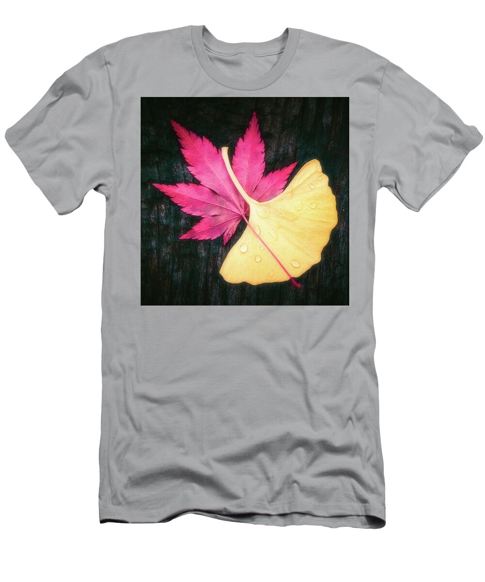 Autumn T-Shirt featuring the photograph Red and Yellow by Philippe Sainte-Laudy