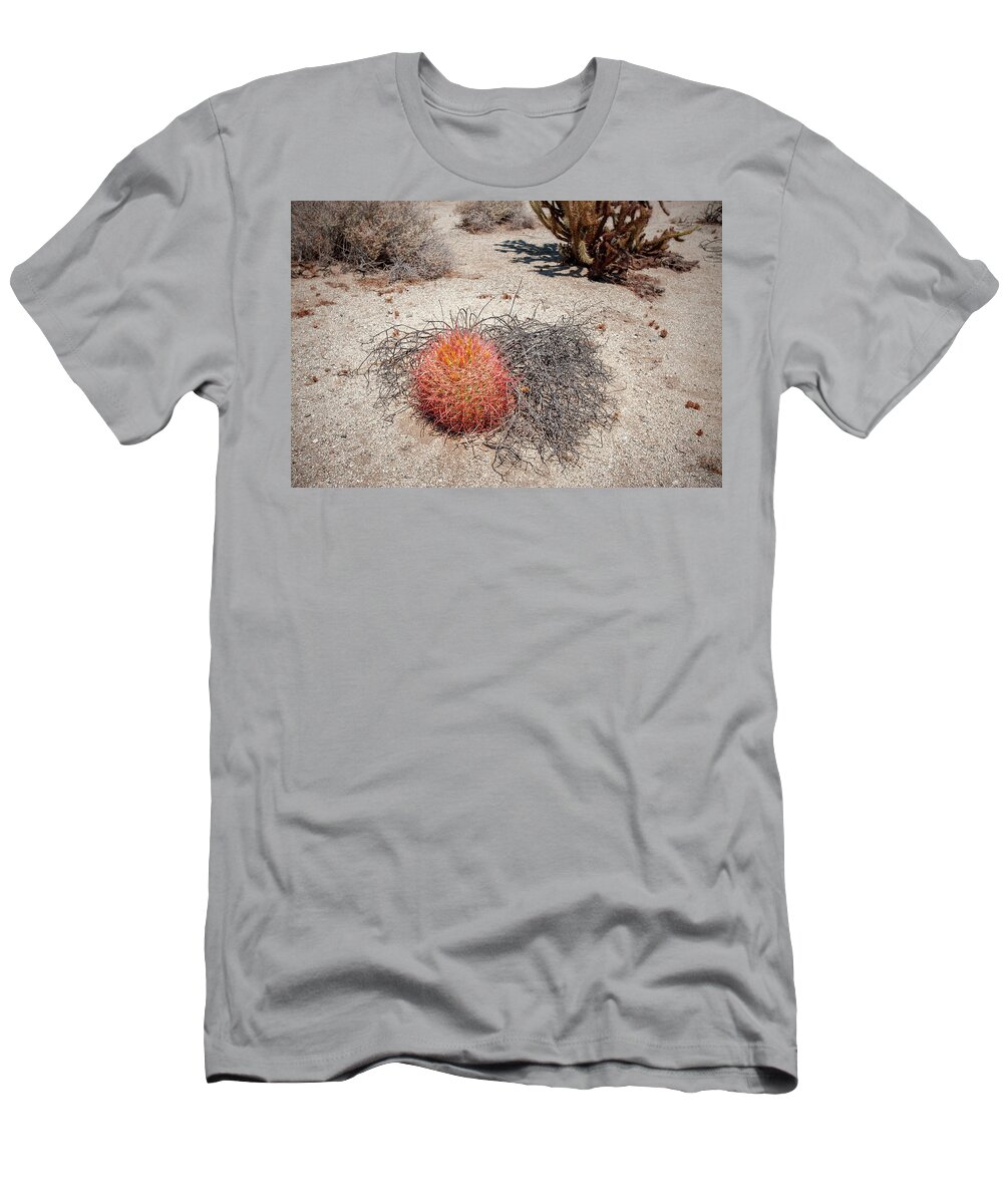 Anza-borrego Desert State Park T-Shirt featuring the photograph Red Barrel Cactus and Mesquite by Mark Duehmig