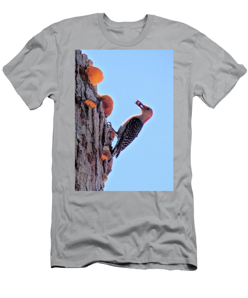 Bird T-Shirt featuring the photograph Red Berries for Baby by Karen Stansberry