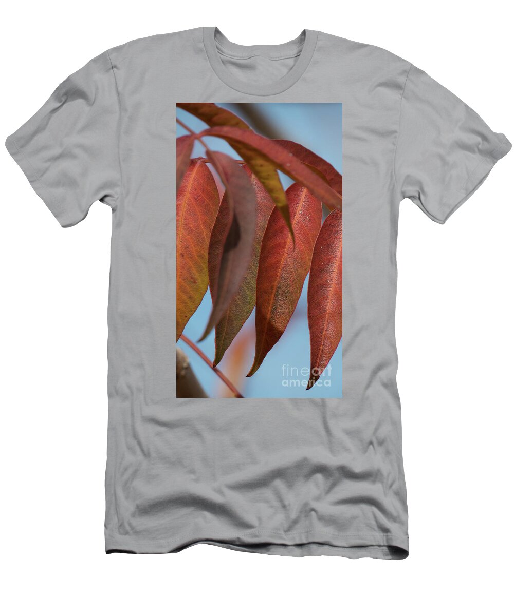 Red T-Shirt featuring the photograph Red Leaves in line by Christy Garavetto