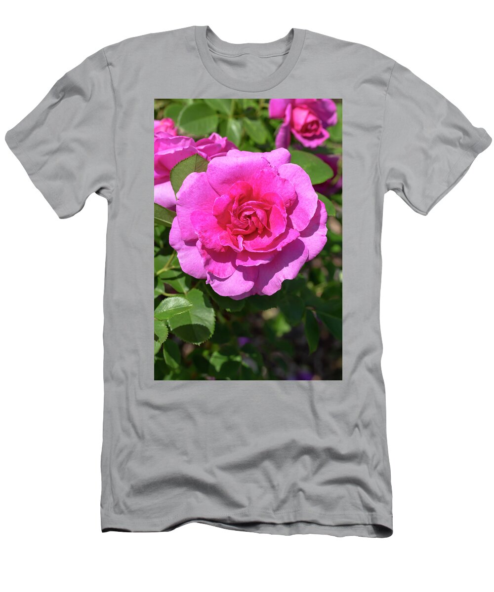 Rose T-Shirt featuring the photograph Rosa Thomas Affleck by Dawn Cavalieri