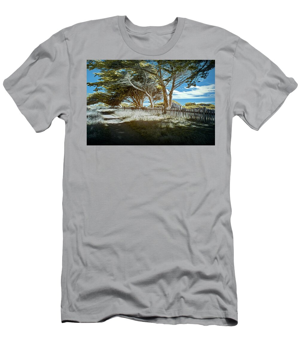 Northern California T-Shirt featuring the photograph Sea Ranch Coastline by Jon Glaser