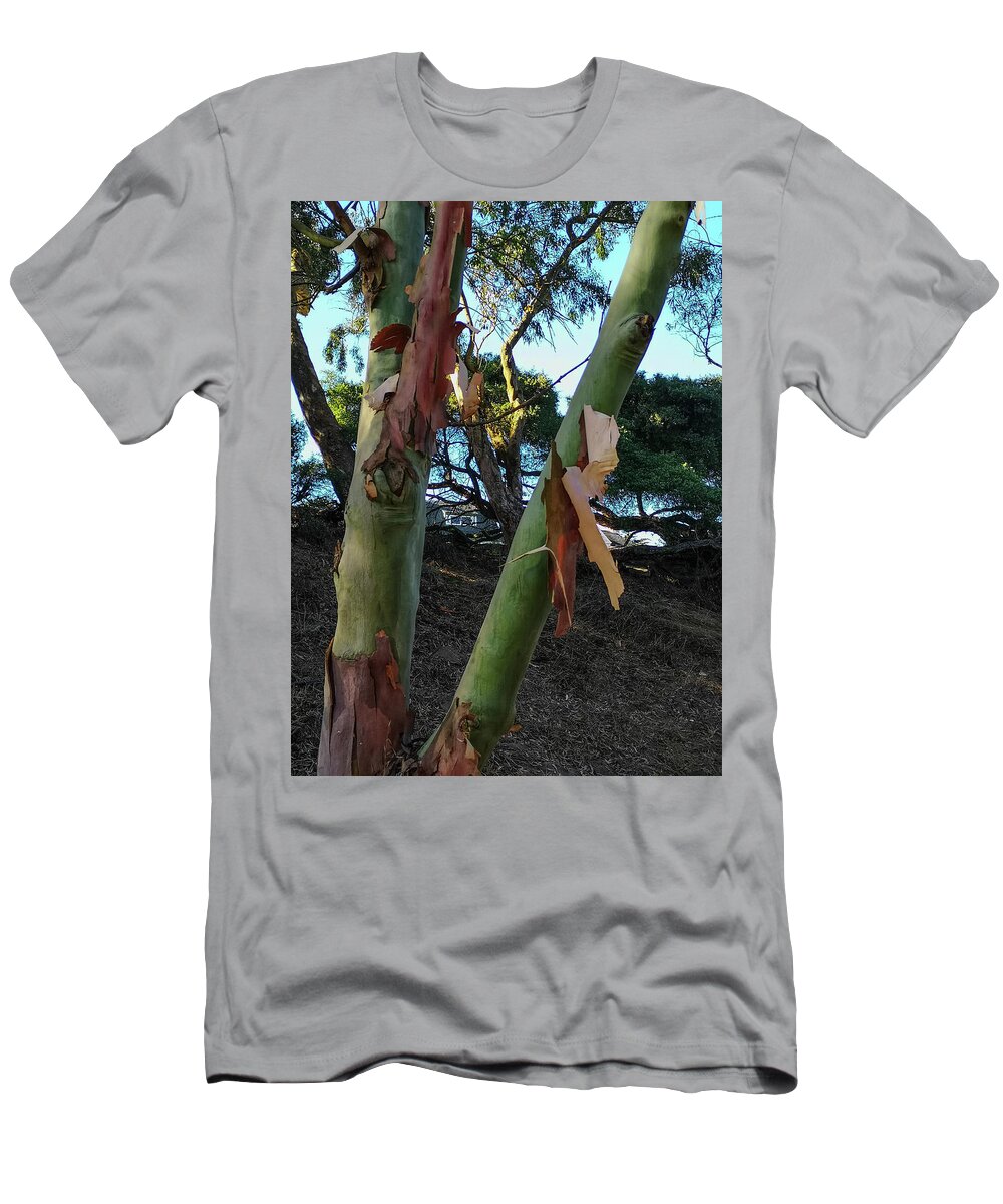 Shedding T-Shirt featuring the photograph Shedding Tree Bark by James Canning