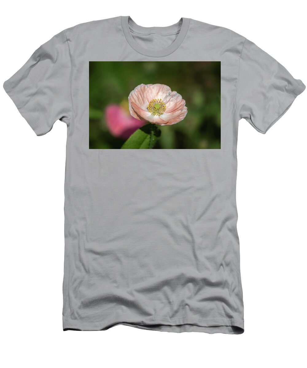  T-Shirt featuring the photograph Shirley Poppy 2019-2 by Thomas Young
