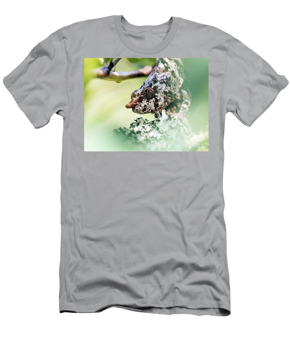 Chameleon T-Shirt featuring the photograph Short-horned Chameleon 1 by Claudio Maioli