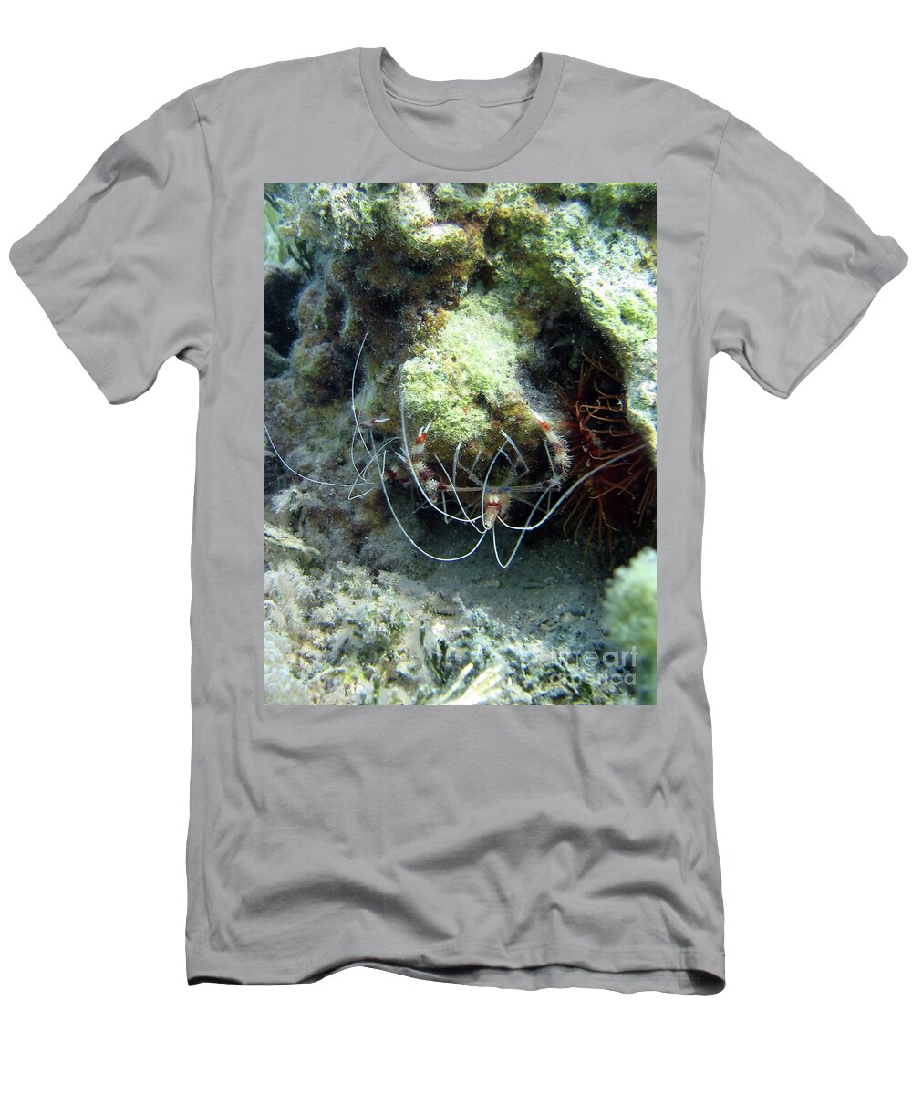 Shrimp In St. Thomas T-Shirt featuring the photograph Shrimp In St. Thomas by Barbra Telfer