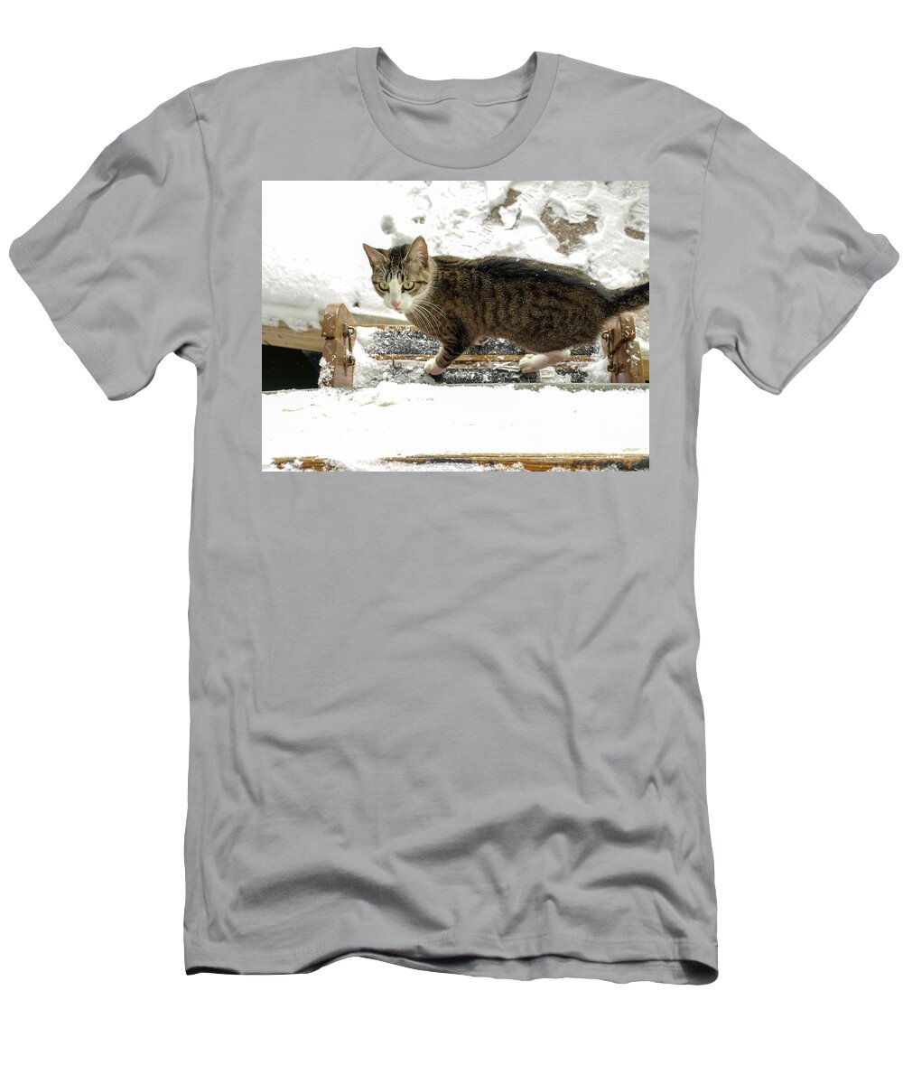 Grey T-Shirt featuring the photograph Slippery - Not by C Winslow Shafer
