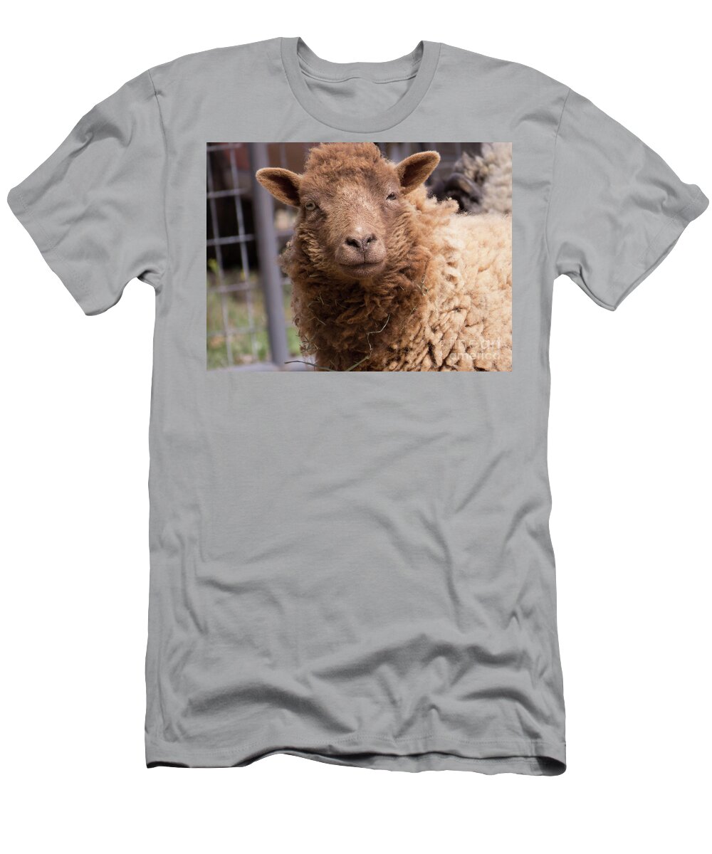 Sheep T-Shirt featuring the photograph Smirking Sheep by Christy Garavetto