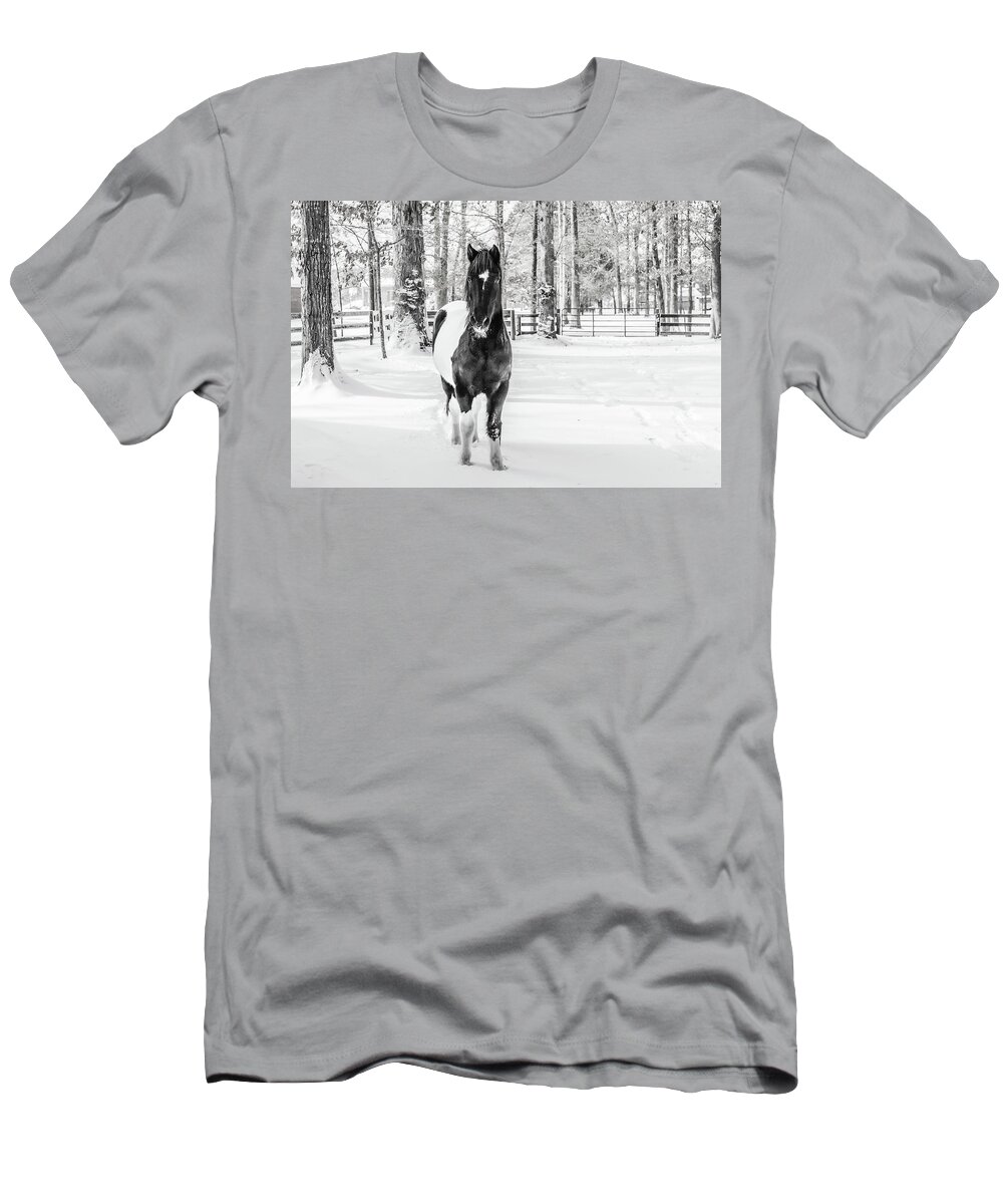 Pony T-Shirt featuring the photograph Snow Painted Pony by Donna Twiford