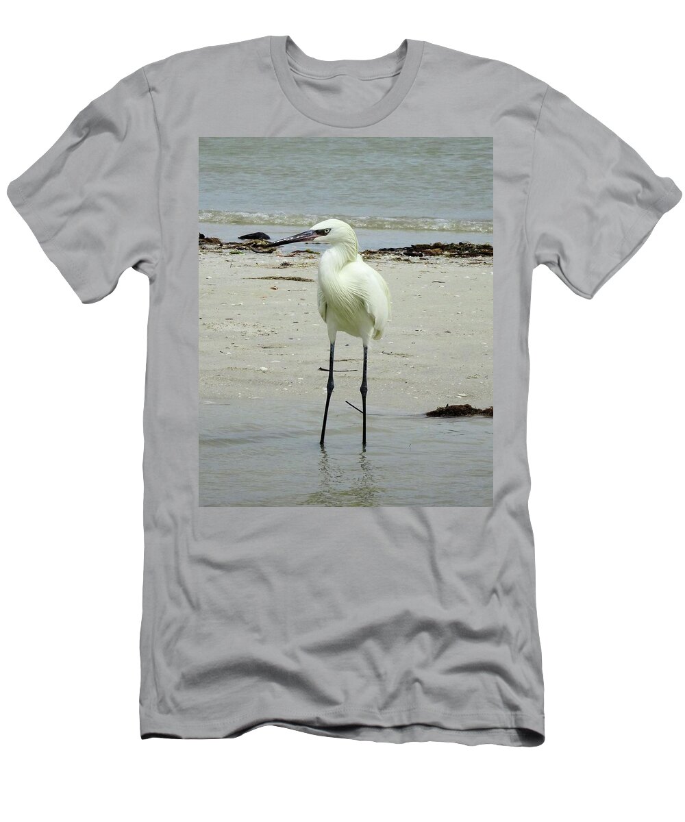 Birds T-Shirt featuring the photograph Snowy Egret Profile by Karen Stansberry