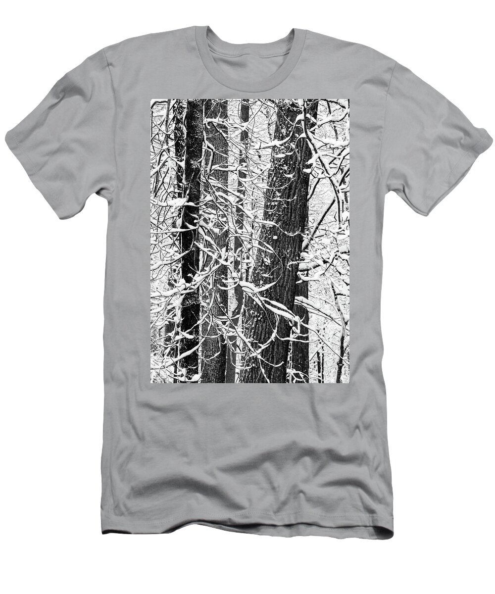 Snow T-Shirt featuring the photograph Snowy Trees by Minnie Gallman