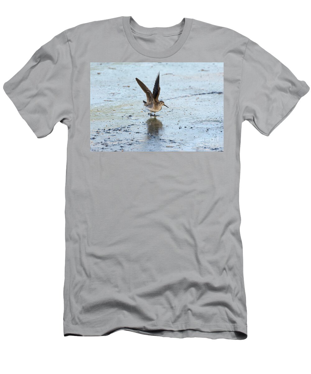 Solitary Sandpiper T-Shirt featuring the photograph Solitary Sandpiper with Wings Extended by Ilene Hoffman