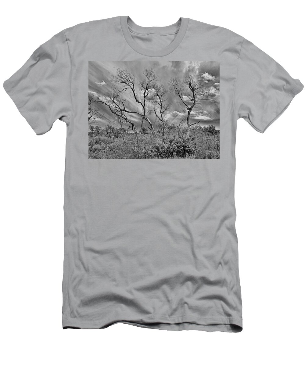 Spring T-Shirt featuring the photograph Spring 2019 Study 8 by Robert Meyers-Lussier