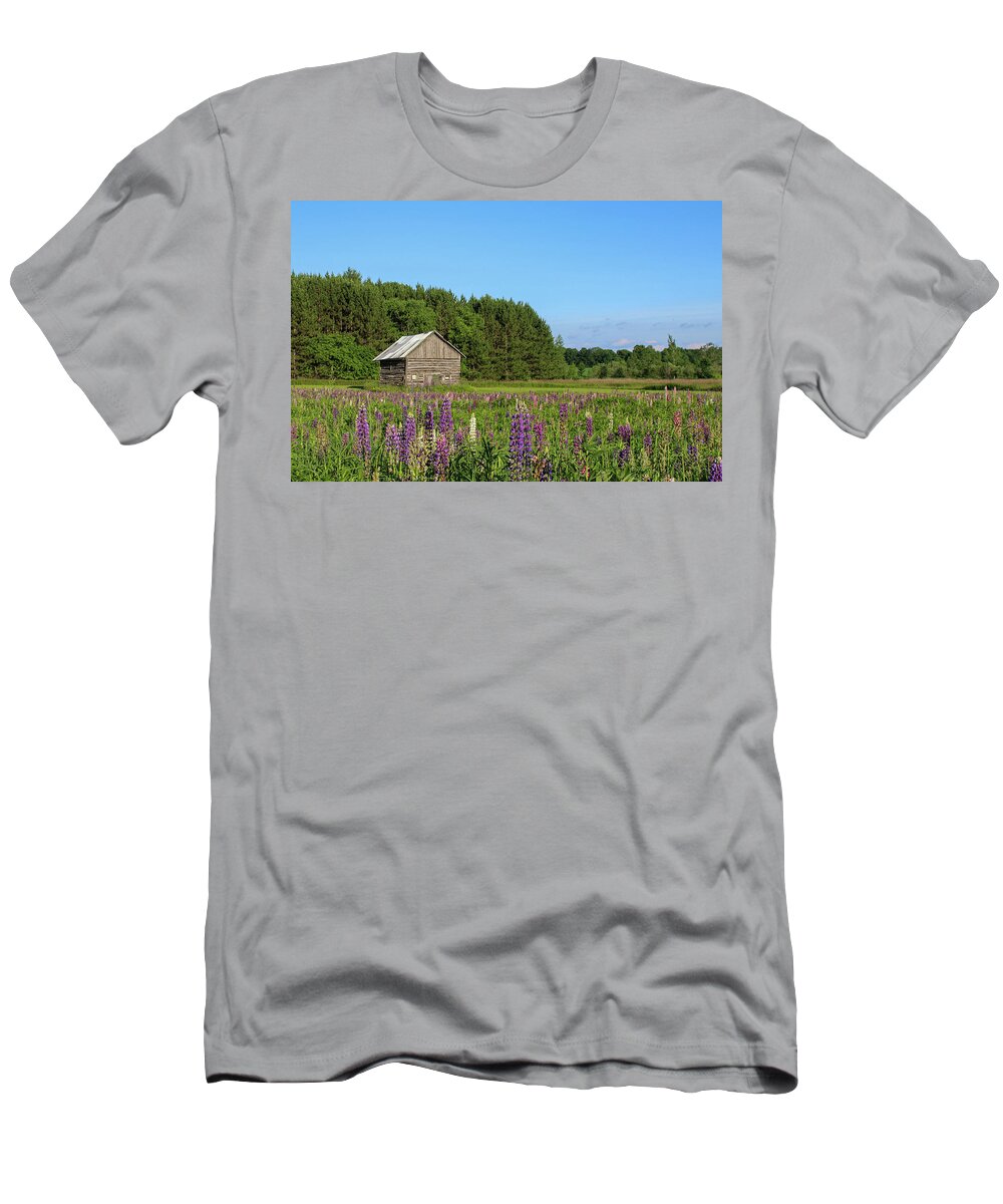 Lupine T-Shirt featuring the photograph Spring Lupine Barn 34 by Brook Burling