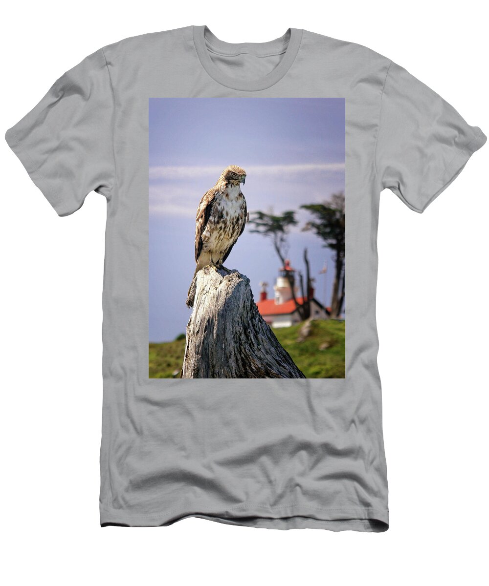 Red Tail Hawk T-Shirt featuring the photograph Standing Watch by Betty Depee