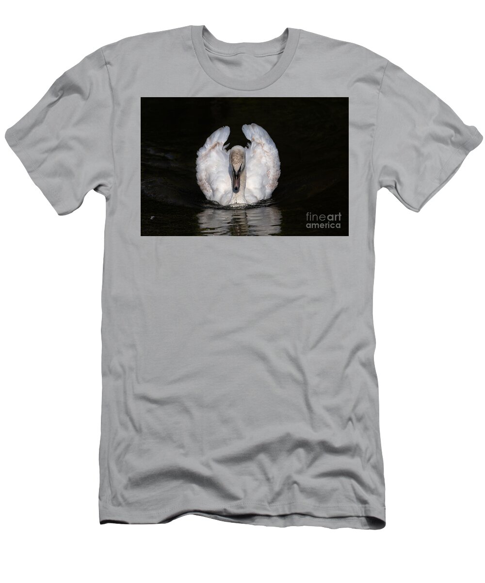 Photography T-Shirt featuring the photograph Staring Swan by Alma Danison