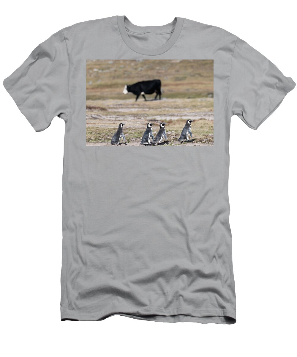 Penguins T-Shirt featuring the photograph Surrealist Abbey Road by Alex Lapidus