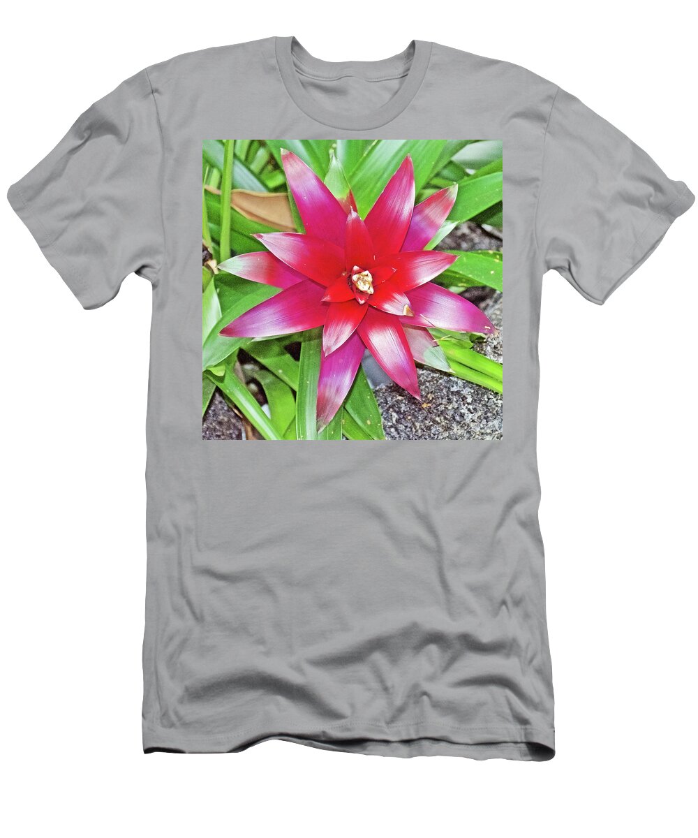Bromeliad In Botanical Garden In Balboa Park In San Diego T-Shirt featuring the photograph Bromeliad Plant in Botanical Garden in Balboa Park in San Diego, California- by Ruth Hager