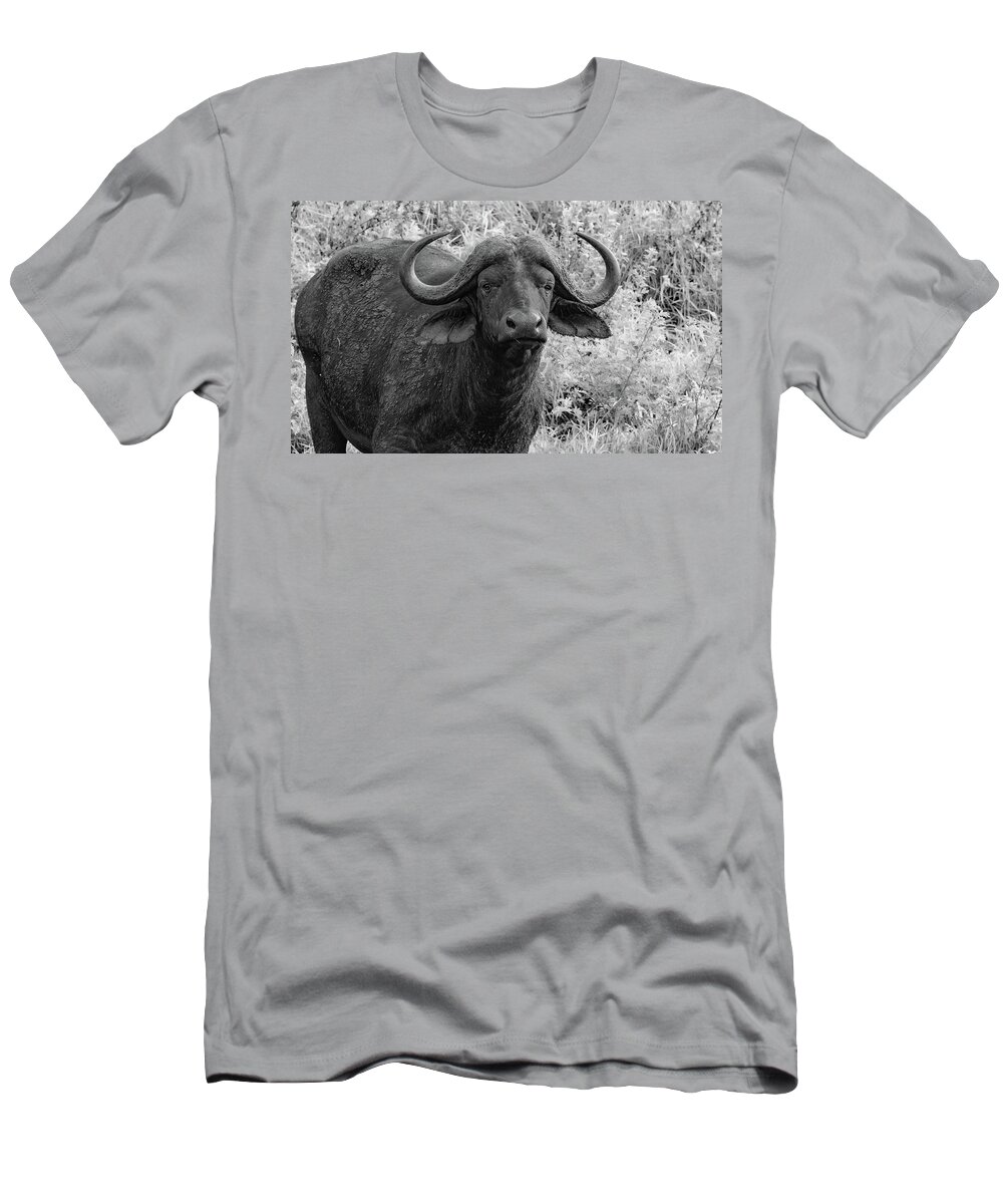 The Big Five T-Shirt featuring the photograph Up Close to the Cape Buffalo, Black and White by Marcy Wielfaert