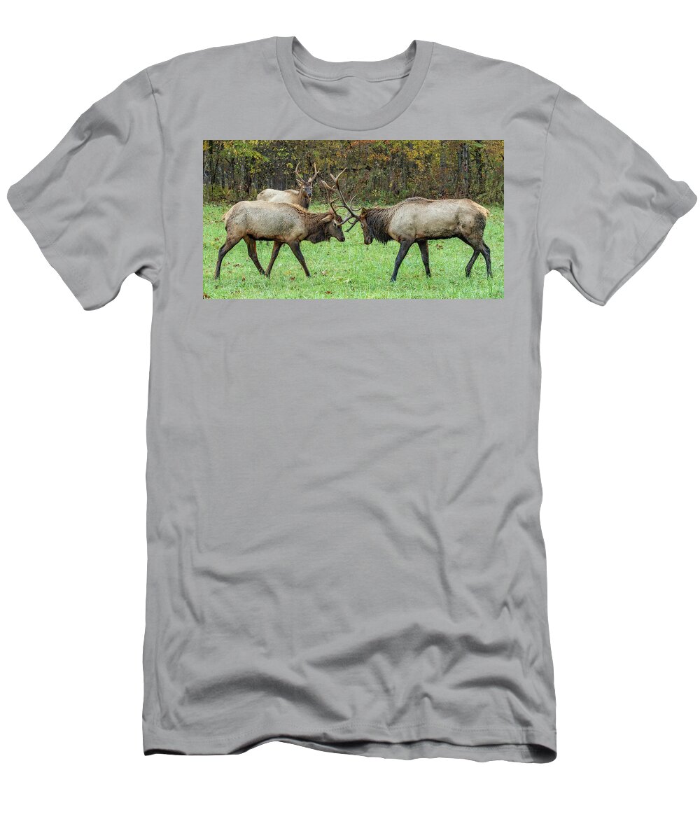 Elk T-Shirt featuring the photograph Waiting His Turn by Marcy Wielfaert