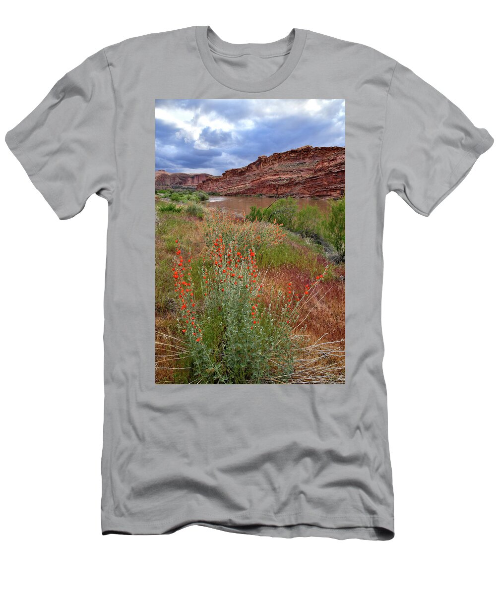 Highway 128 T-Shirt featuring the photograph Wildflowers along Colorado River and Highway 128 by Ray Mathis