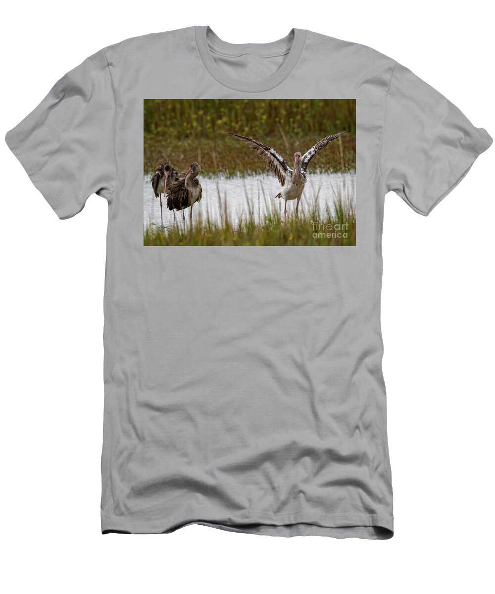 Ibis T-Shirt featuring the photograph Wings of Youthful Beauty by DB Hayes