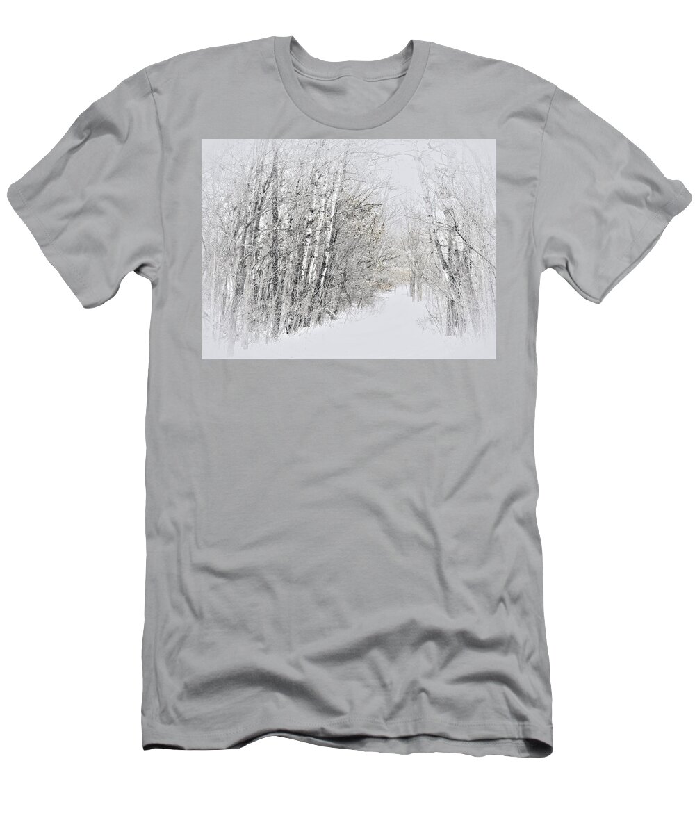 Birch T-Shirt featuring the photograph Winter Birch by Lori Frisch