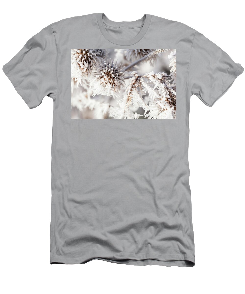 Freezing T-Shirt featuring the photograph Winter frost on a garden thistle close up by Simon Bratt