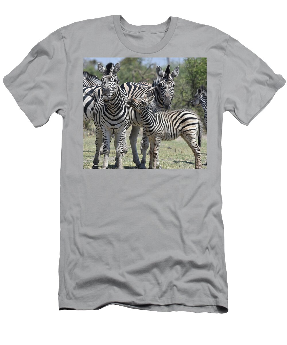 Zebra T-Shirt featuring the photograph Zebra Family by Ben Foster