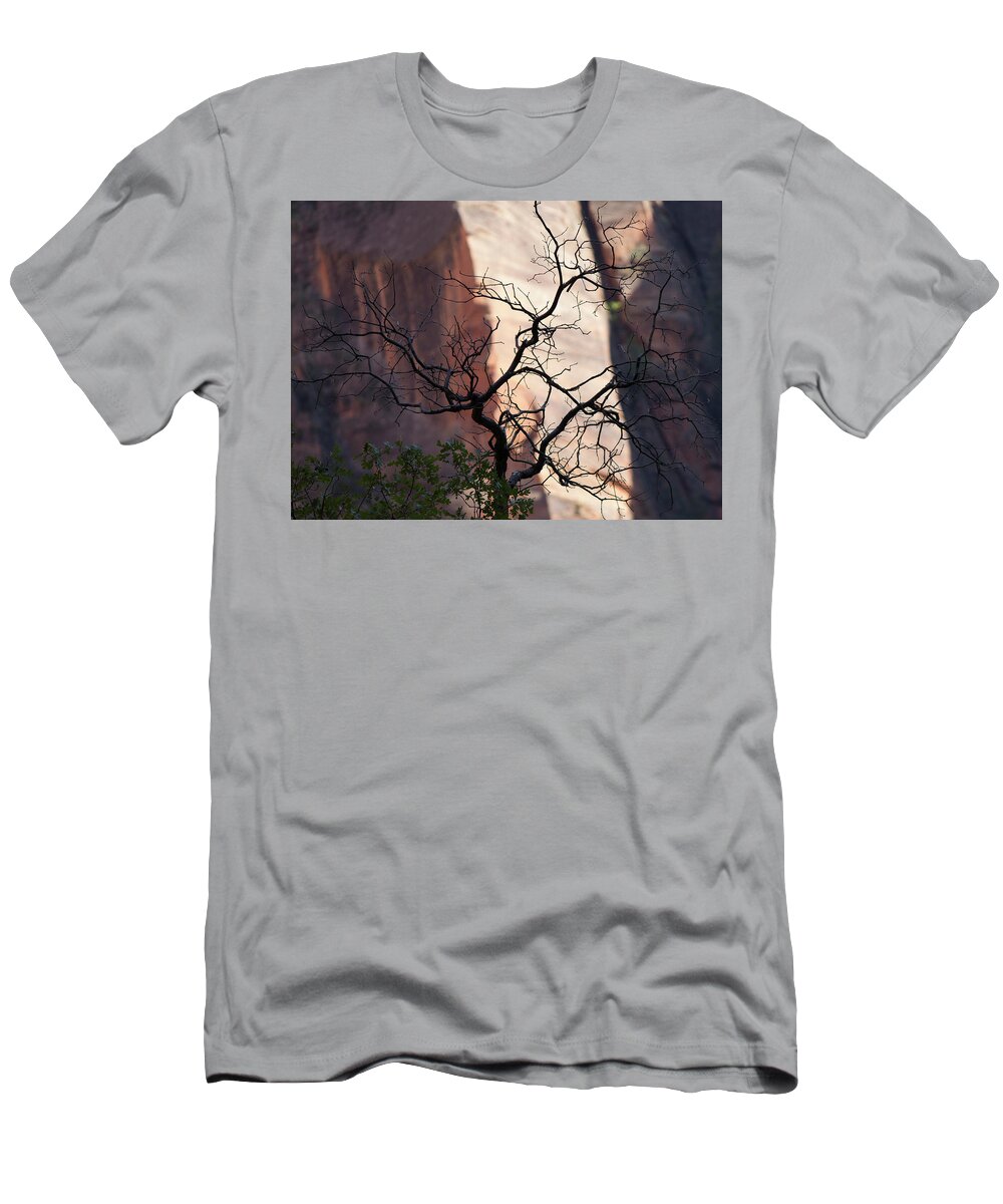 Zion T-Shirt featuring the photograph Zion Tree by Jonathan Thompson