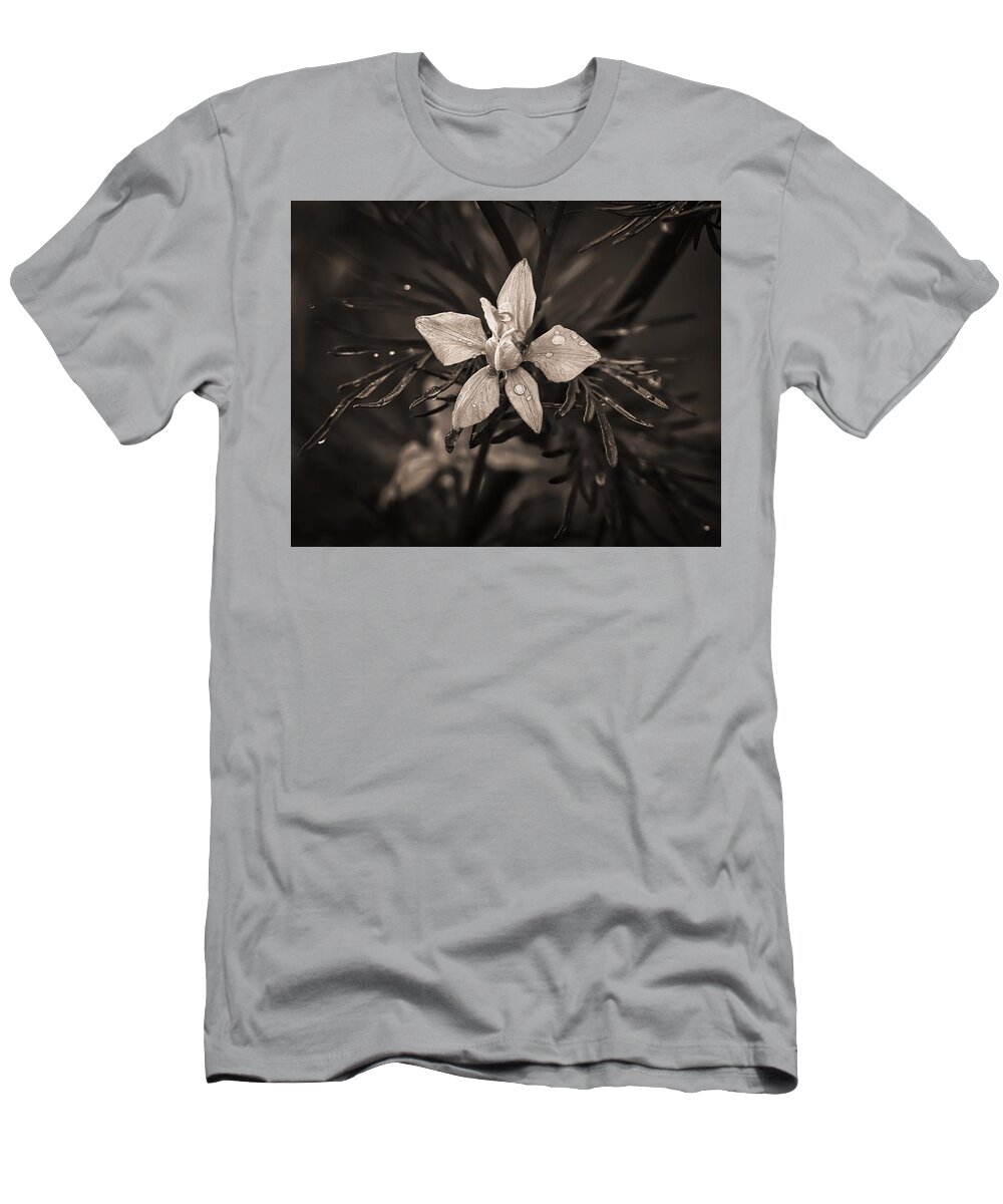 Larkspur T-Shirt featuring the photograph After the Rain #1 by Dominic Paulo