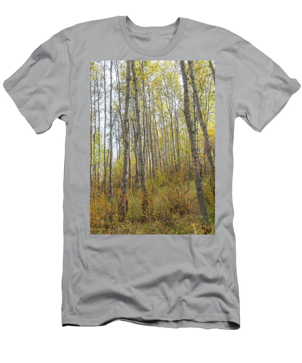 Woods T-Shirt featuring the photograph Autumn Woods by Karen Rispin
